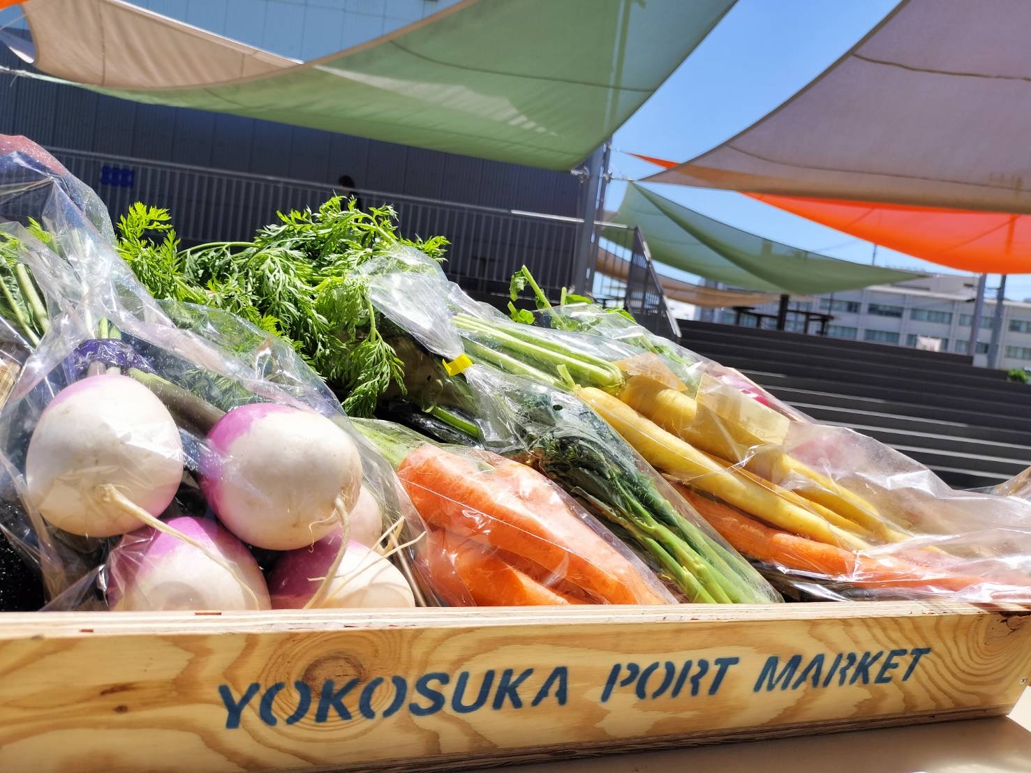 2/14（土）、2/15（日）【横須賀朝市 Morning Market】開催！ | いちご よこすかポートマーケット - YOKOSUKA PORT  MARKET