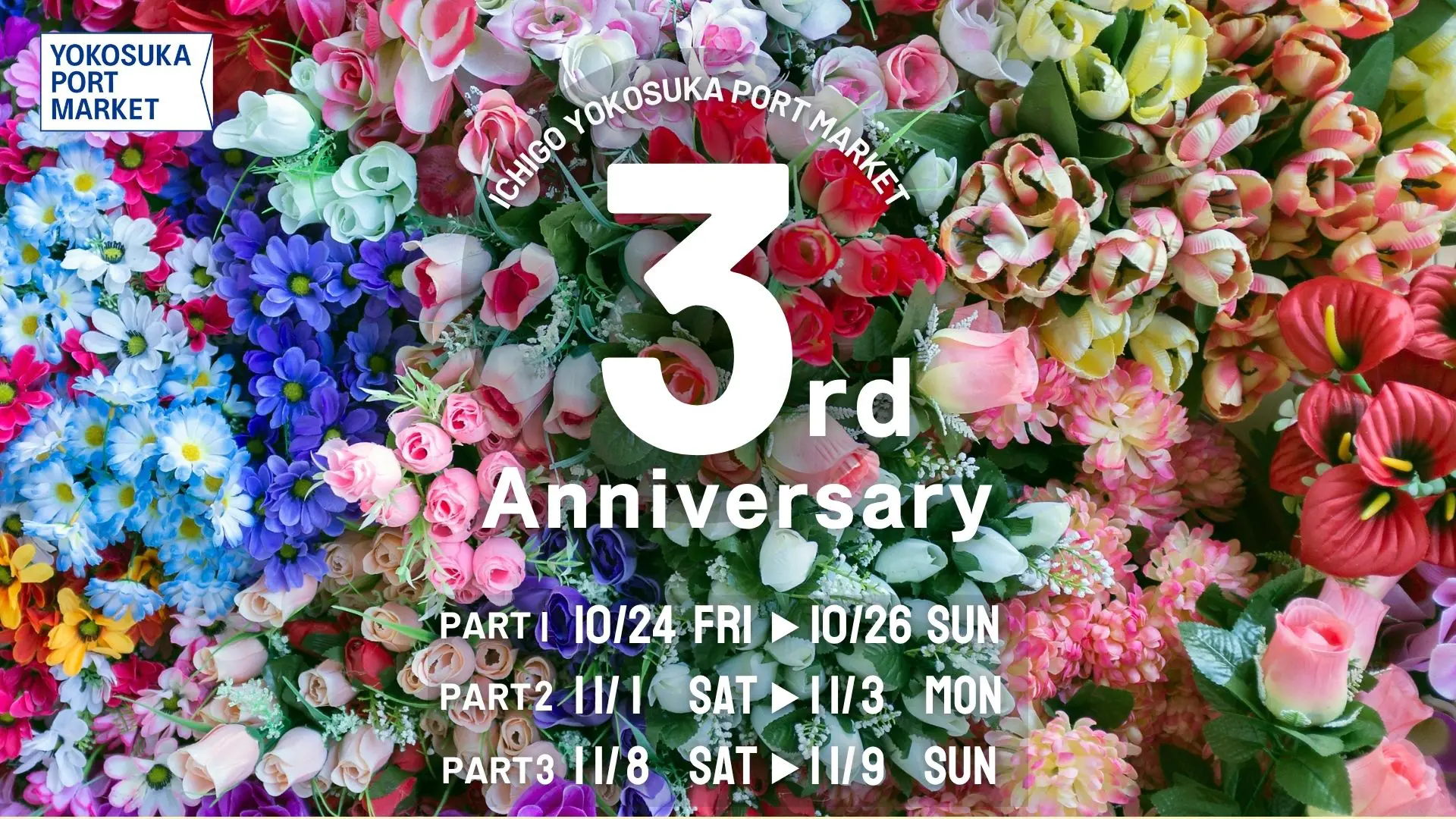 楽天コレクション キャンバスボード 朝日奈＆大神 MATSURI】 待望の2nd シングル 『アガベの花』入荷しました