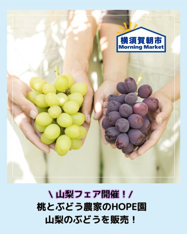 いちご よこすかポートマーケット - YOKOSUKA PORT MARKET